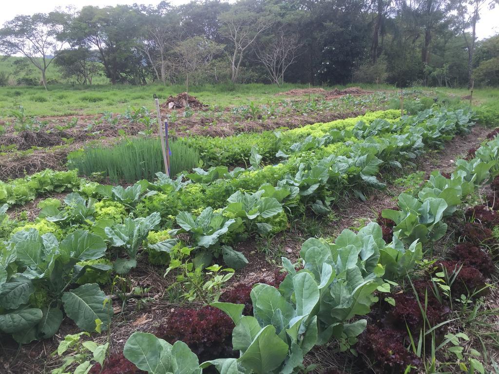 Hospedagem Fazenda Nova América Brotas Exterior foto